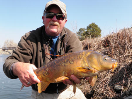 South Platte Carp Colorado Fishing