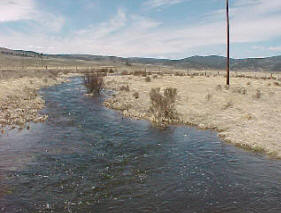 Cochetopa Creek Colorado fishing