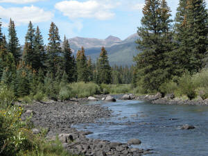 Rio Grande Colorado Fishing