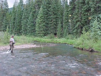 Snake RIver on Keystone Resort