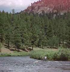 Colorado fishing