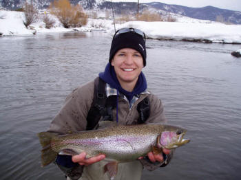 Yampa River Rainbow Trout